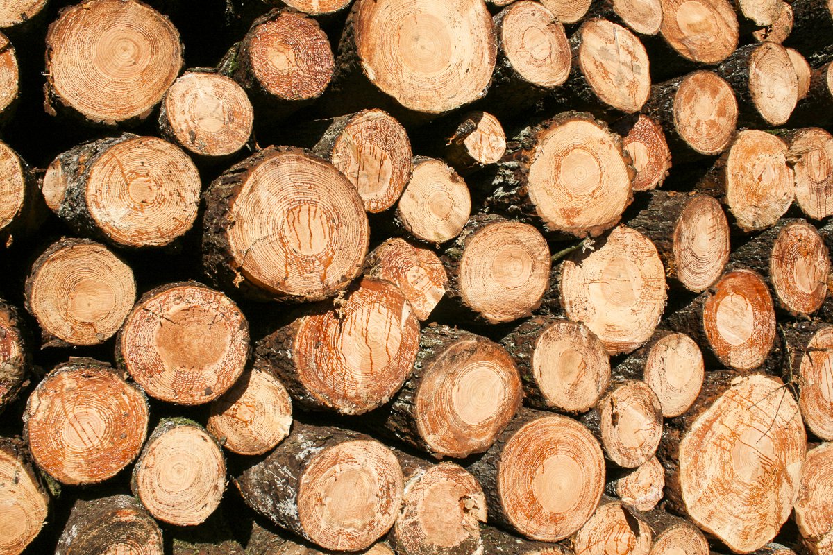 maderas-gomez-instalaciones-